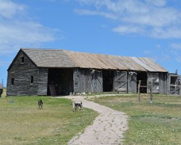 www.royfc.com-387