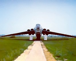 Bison