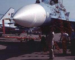 Su-27walk