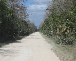 www.royfc.com-355