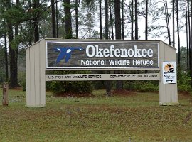okefenokee