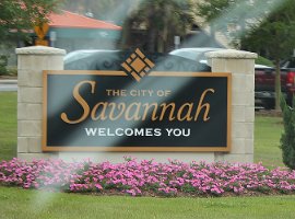 savannah