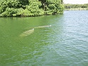 belize 019