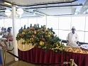 coralprincess 064