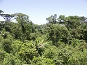 costa rica aerial tram park 034